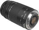 Canon EF 75-300mm f/4-5.6 Lens