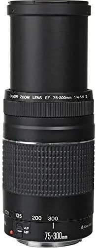 Canon EF 75-300mm f/4-5.6 Lens