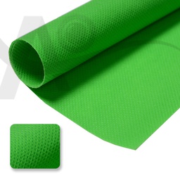 [004004] Mint Green Non Woven Canvas Background Roll